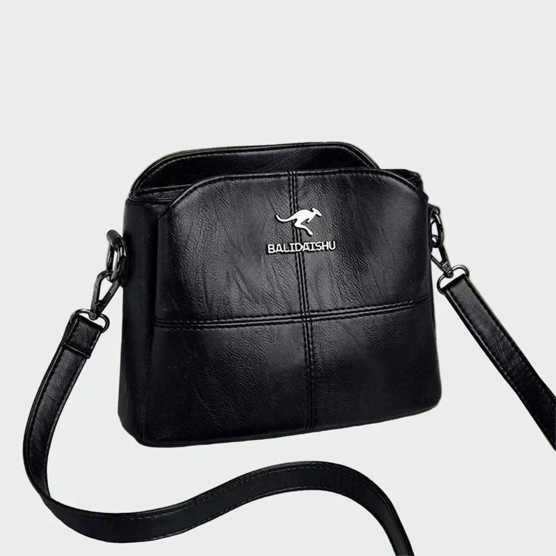 Bolsa de couro elegante